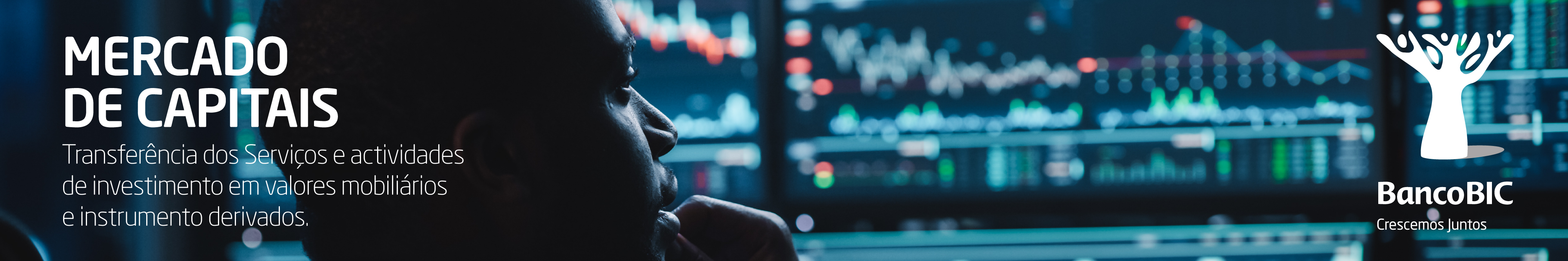 BIC Capital Market 1920x320.jpg