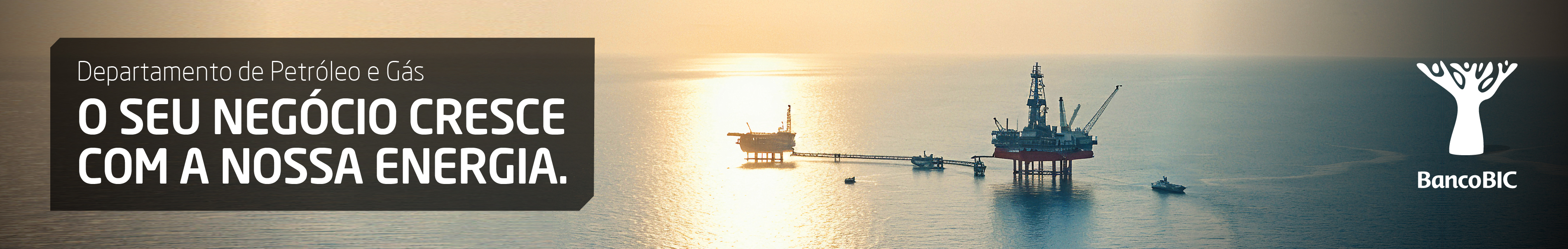 W1902x302 px.jpg
